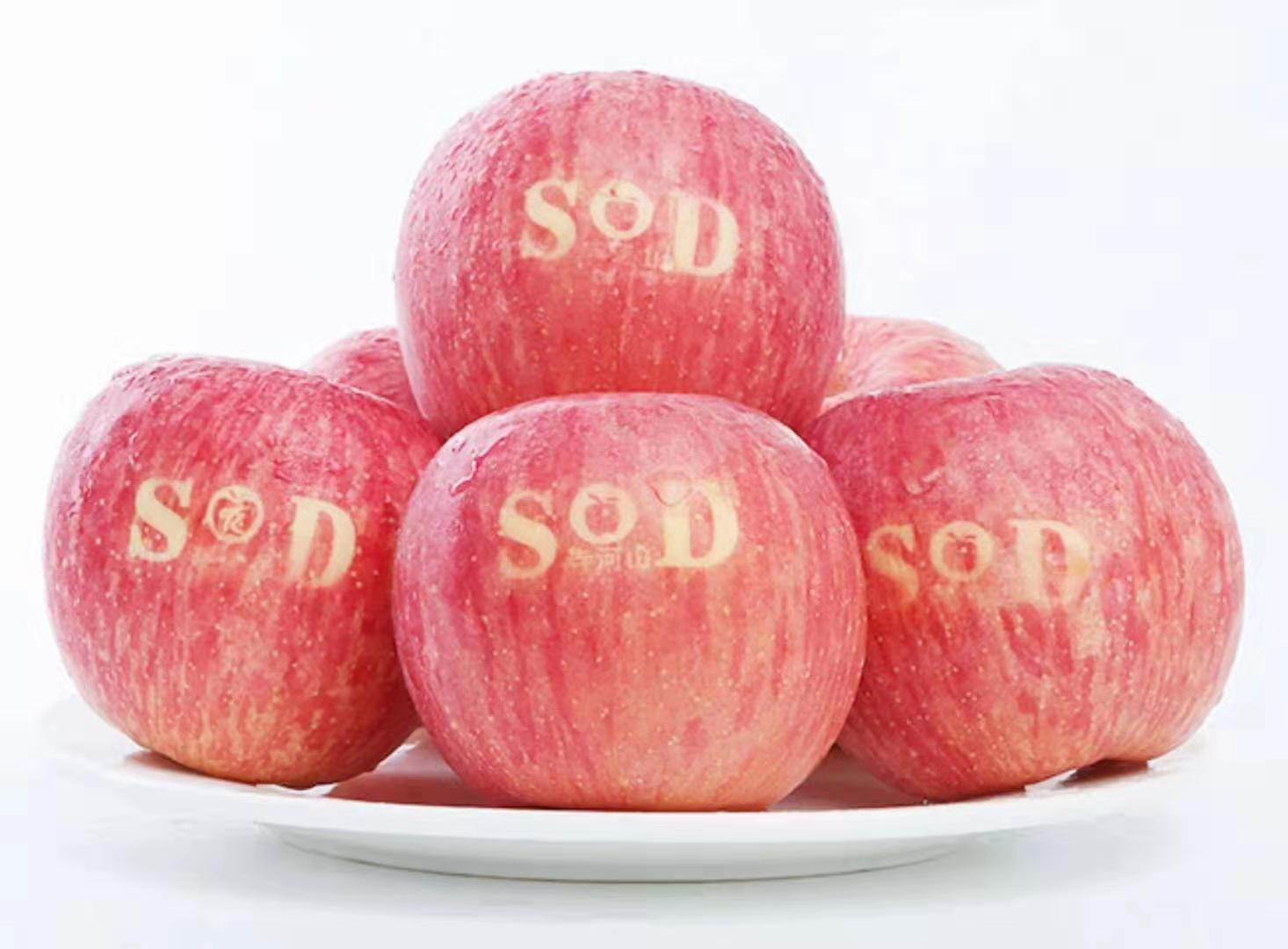 靈寶SOD蘋果